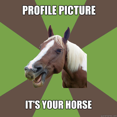 profile picture it's your horse  