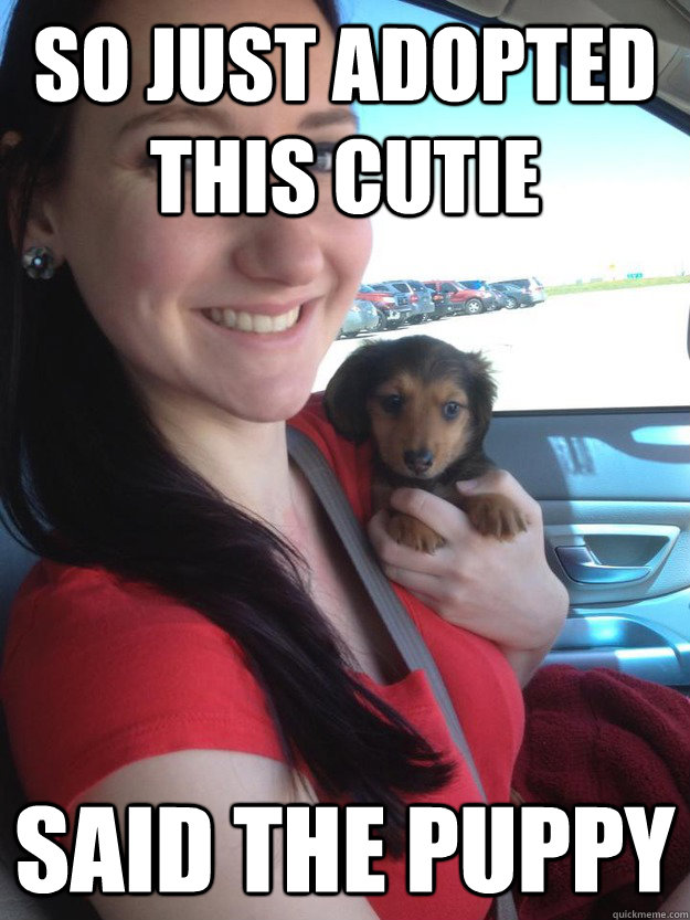 SO just adopted this cutie Said the puppy - SO just adopted this cutie Said the puppy  SO just adopted this cutie