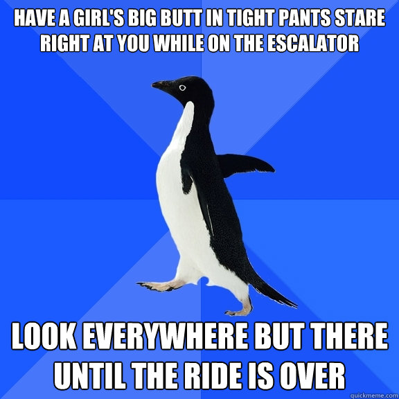 have a girl's big butt in tight pants stare right at you while on the escalator look everywhere but there until the ride is over  Socially Awkward Penguin
