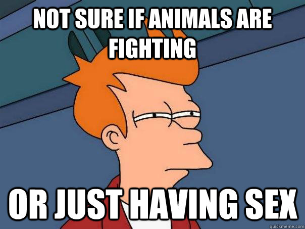 Not sure if animals are fighting Or just having sex  Futurama Fry