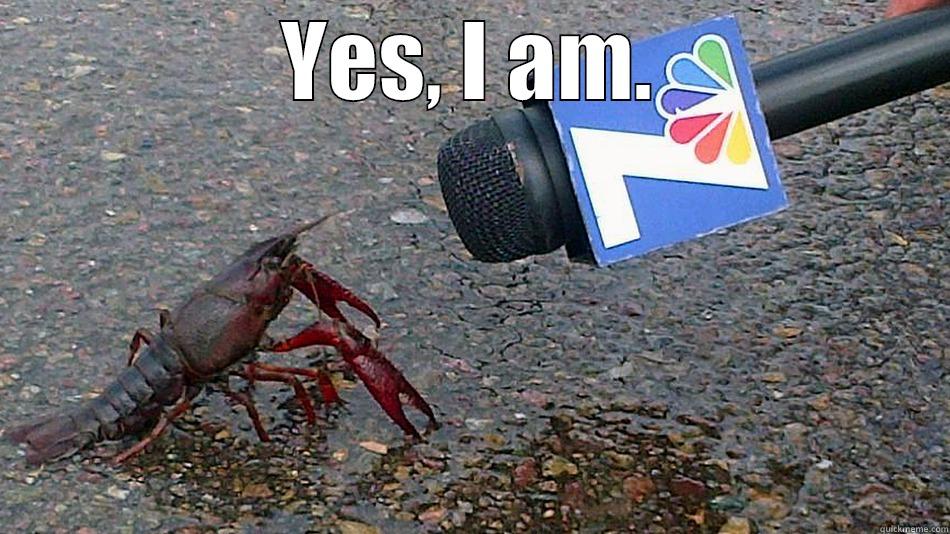 YES, I AM.  Misc