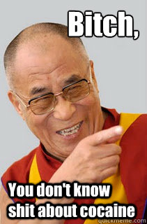 Bitch, You don't know shit about cocaine - Bitch, You don't know shit about cocaine  Dalai Lama