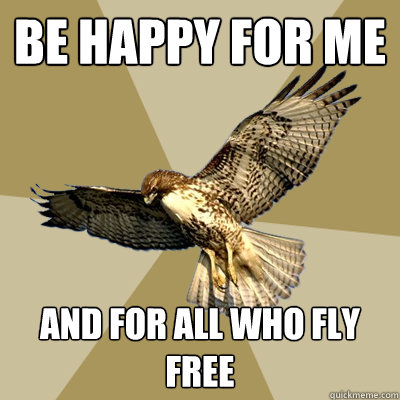 Be Happy for me And for all who fly free  serious bird boy