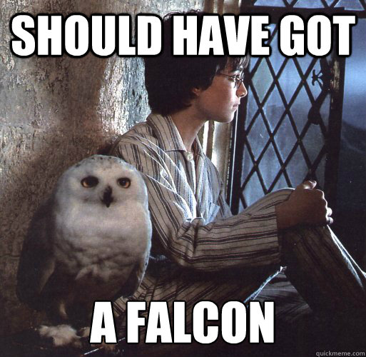 Should have got  A Falcon  Should have got a falcon