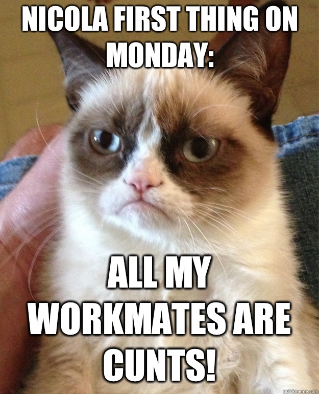 Nicola First thing on Monday: All my workmates are cunts! - Nicola First thing on Monday: All my workmates are cunts!  Grumpy Cat