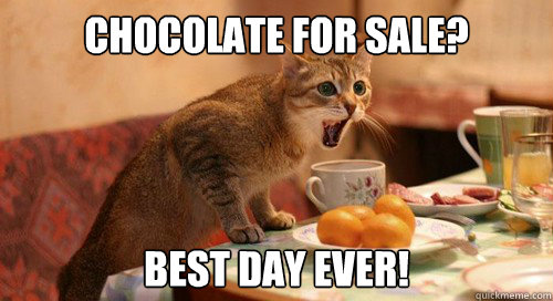 Chocolate for sale? Best day ever!  excited cat