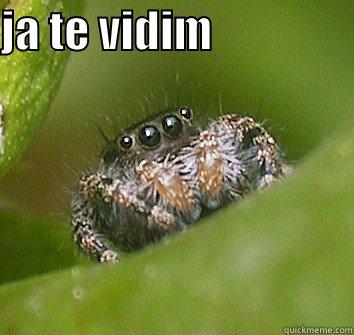 FUNNY SHT - JA TE VIDIM                  Misunderstood Spider