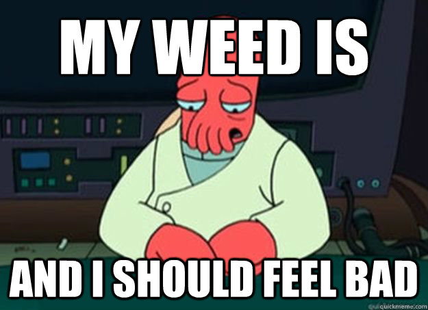 my weed is bad And I should feel bad  I made someone sad and i should feel bad