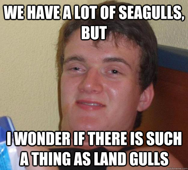 We have a lot of seagulls, but I wonder if there is such a thing as land gulls  10 Guy