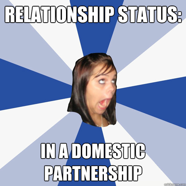Relationship status: in a domestic partnership  Annoying Facebook Girl