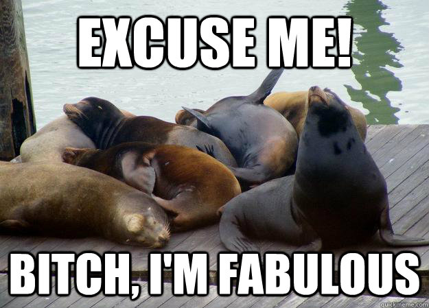 Excuse me! bitch, I'm fabulous  