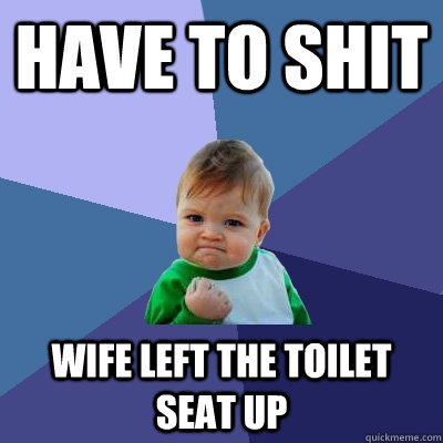 Have to shit wife left the toilet seat up - Have to shit wife left the toilet seat up  Success Kid
