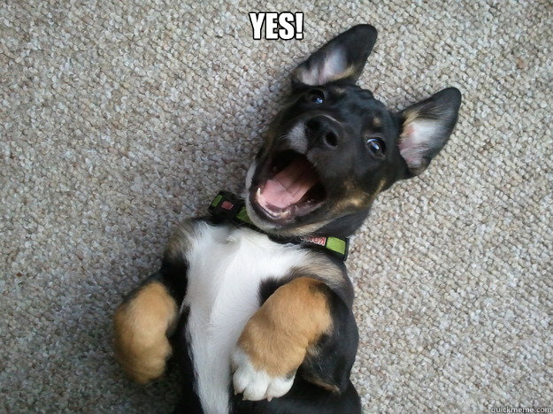 Yes!  Happy Puppy