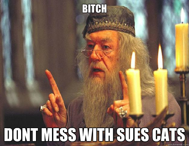 bitch dont mess with sues cats  Dumbledore