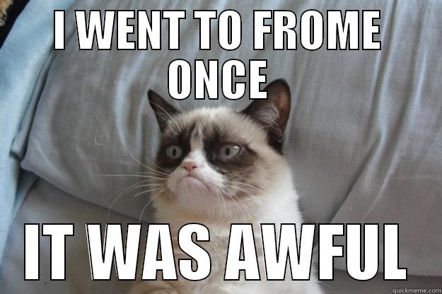 I WENT TO FROME ONCE IT WAS AWFUL Grumpy Cat
