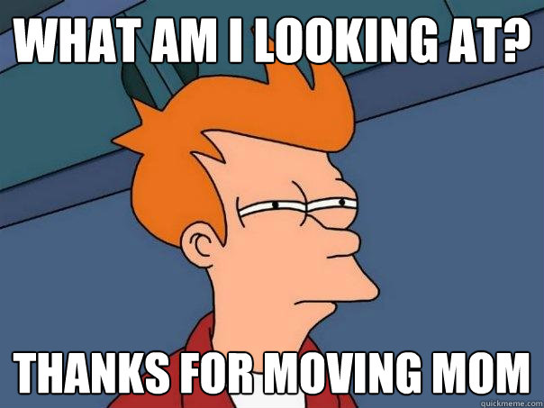 What am I looking at? Thanks for moving mom  Futurama Fry