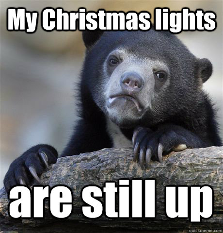 My Christmas lights are still up  Confession Bear