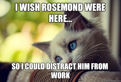 I wish rosemond were here... 
so I could distract him from work  First World Problems Cat