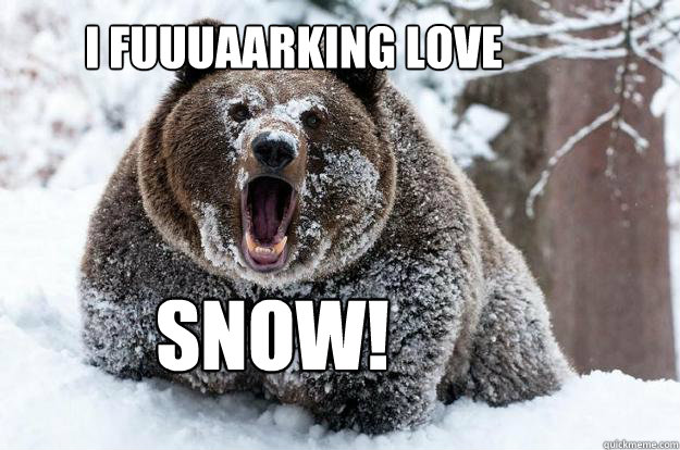 I FUUUAARKING LOVE SNOW!  