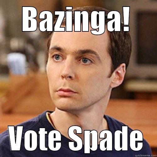 BAZINGA! VOTE SPADE Misc
