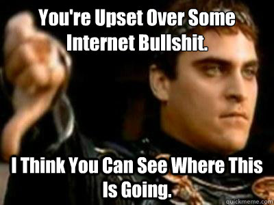 You're Upset Over Some Internet Bullshit. I Think You Can See Where This Is Going.  Downvoting Roman