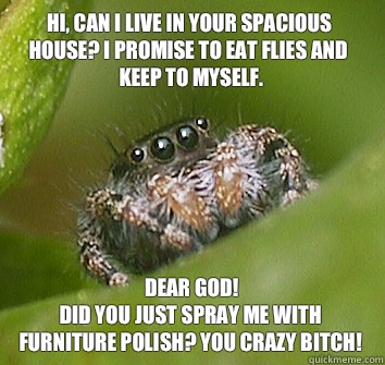 Hi, can i live in your spacious house? I promise to eat flies and keep to myself. dear god!
 did you just spray me with furniture polish? you crazy bitch!  Misunderstood Spider