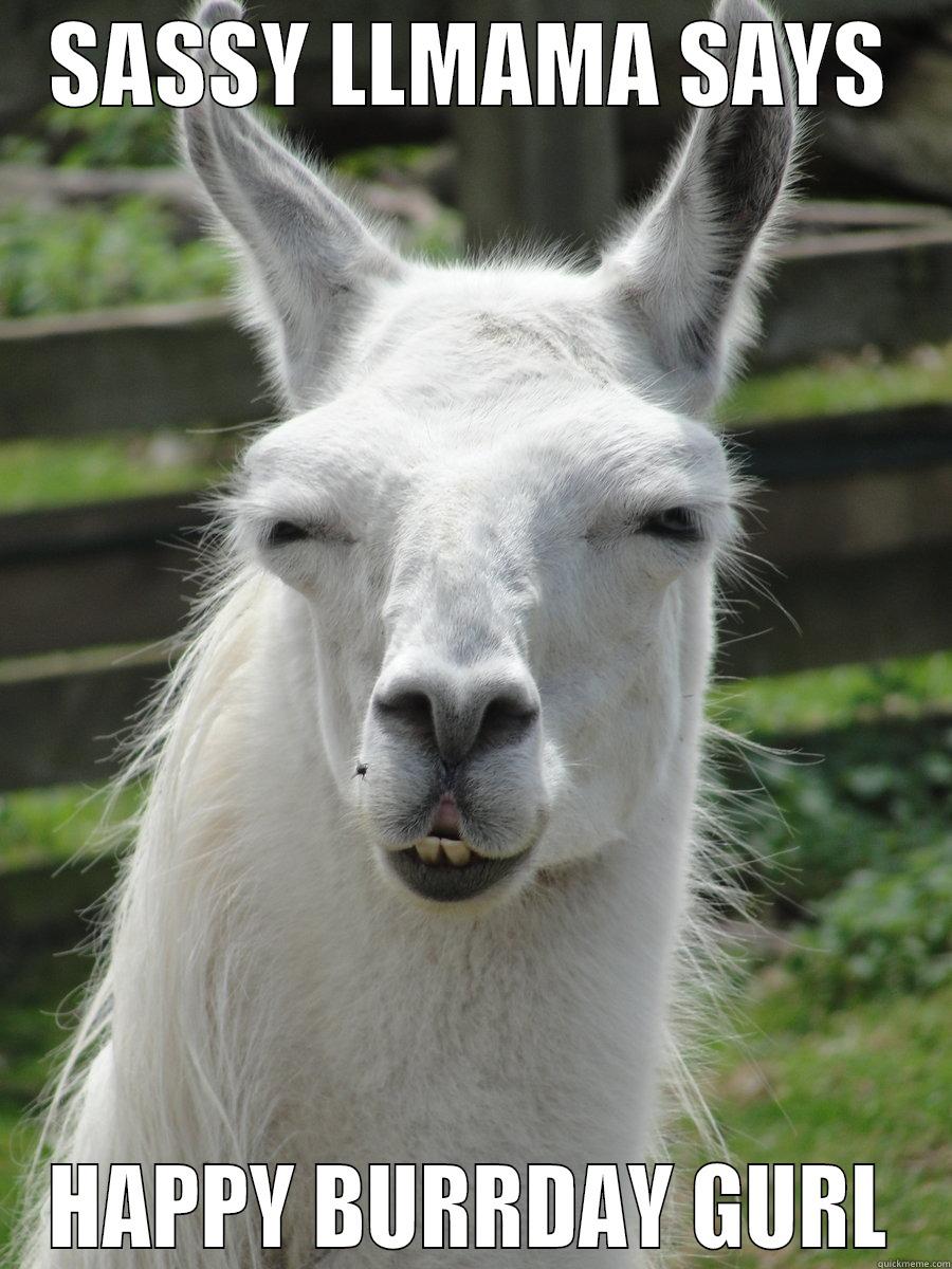sassy llama - SASSY LLMAMA SAYS HAPPY BURRDAY GURL Misc