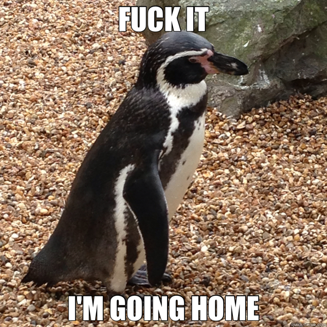 FUCK IT I'M GOING HOME - FUCK IT I'M GOING HOME  Misc
