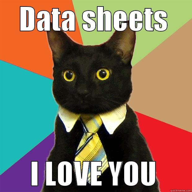 DATA SHEETS I LOVE YOU Business Cat