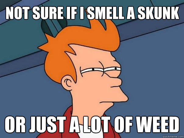 Not sure if i smell a skunk or just a lot of weed - Not sure if i smell a skunk or just a lot of weed  Misc