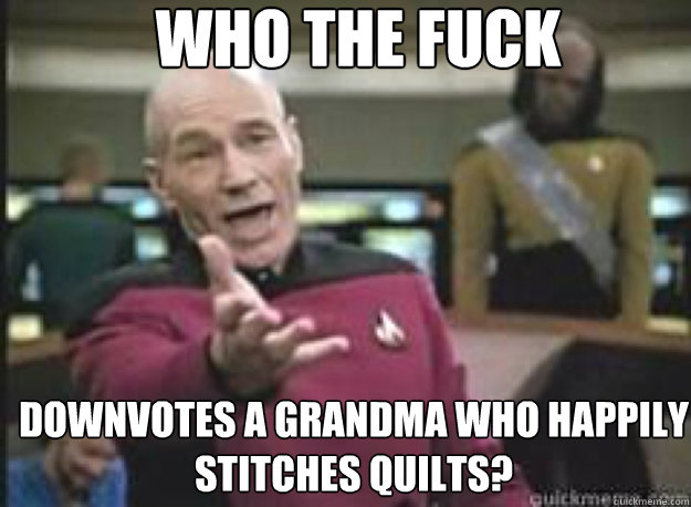 Who the fuck downvotes a grandma who happily stitches quilts?  What the Fuck