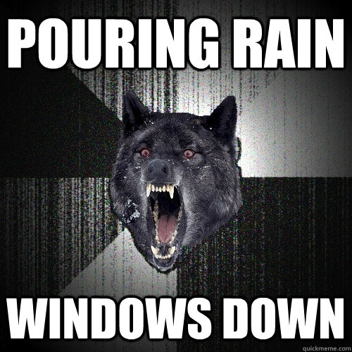 Pouring Rain Windows Down  Insanity Wolf