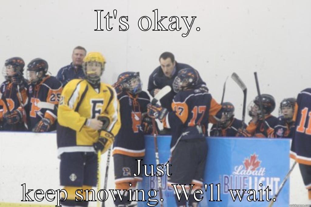 IT'S OKAY.  JUST KEEP SNOWING. WE'LL WAIT.  Misc