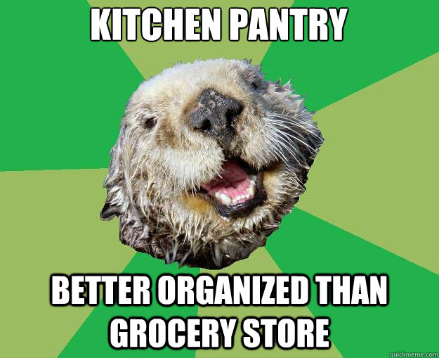 Kitchen pantry better organized than grocery store  OCD Otter