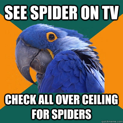 See spider on TV check all over ceiling for spiders - See spider on TV check all over ceiling for spiders  Paranoid Parrot