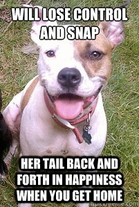 Will lose control and snap her tail back and forth in happiness when you get home  