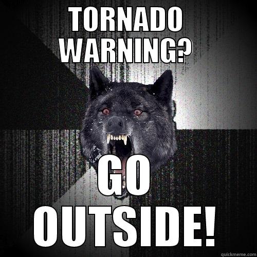 TORNADO WARNING? GO OUTSIDE! Insanity Wolf