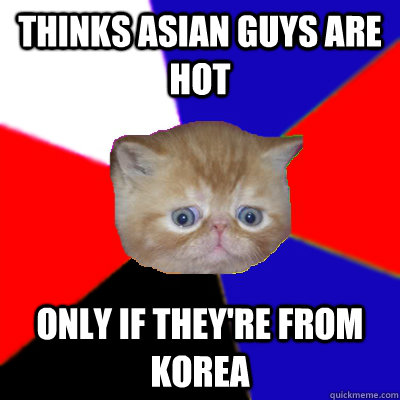 thinks asian guys are hot only if they're from korea  Koreaboo Kitty