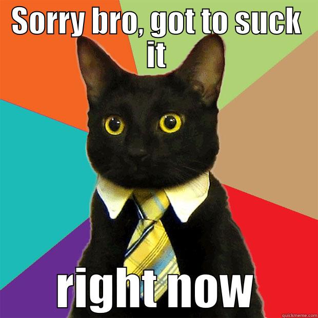 SORRY BRO, GOT TO SUCK IT RIGHT NOW Business Cat