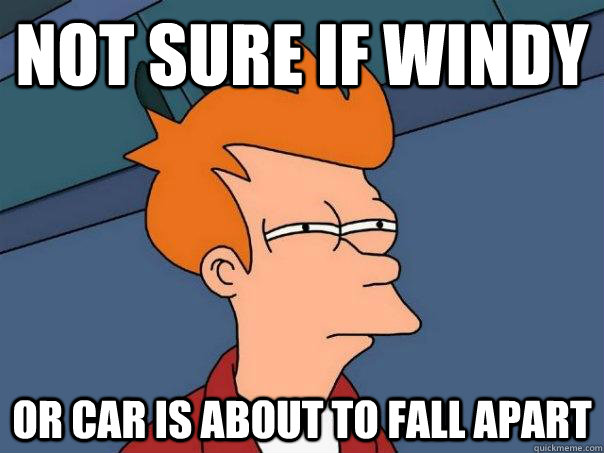 Not sure if windy Or car is about to fall apart  Futurama Fry