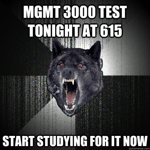 mgmt 3000 test tonight at 615 start studying for it now  Insanity Wolf