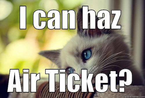 I CAN HAZ AIR TICKET? First World Problems Cat