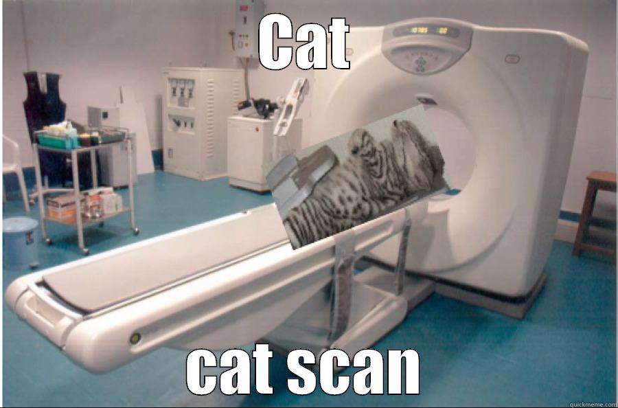 CAT CAT SCAN Misc