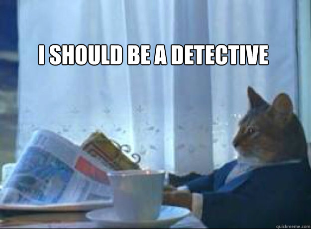 I should be a detective  - I should be a detective   I should buy a boat cat