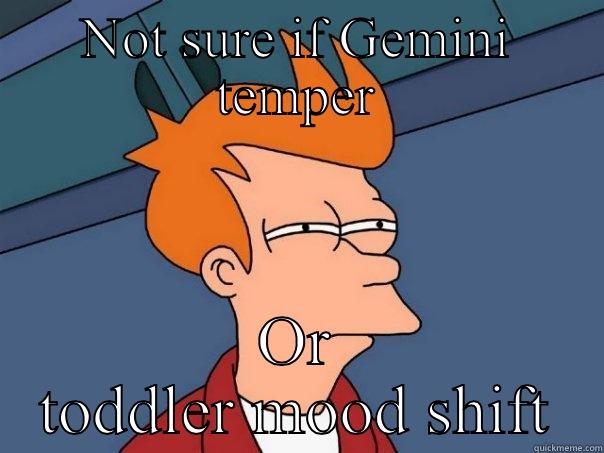 NOT SURE IF GEMINI TEMPER OR TODDLER MOOD SHIFT Futurama Fry