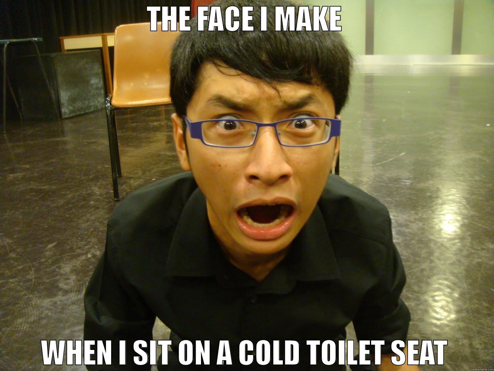 funny face - THE FACE I MAKE WHEN I SIT ON A COLD TOILET SEAT Misc