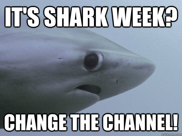It's shark week? change the channel! - It's shark week? change the channel!  Shy Shark