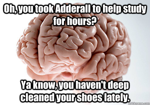 Oh, you took Adderall to help study for hours? Ya know, you haven't deep cleaned your shoes lately.    Scumbag Brain
