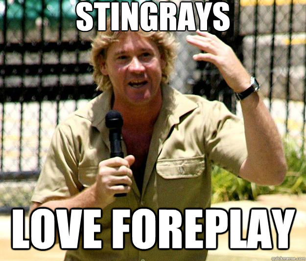 Stingrays Love Foreplay - Stingrays Love Foreplay  Misc
