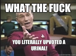 What the fuck You literally upvoted a urinal!  Annoyed Picard